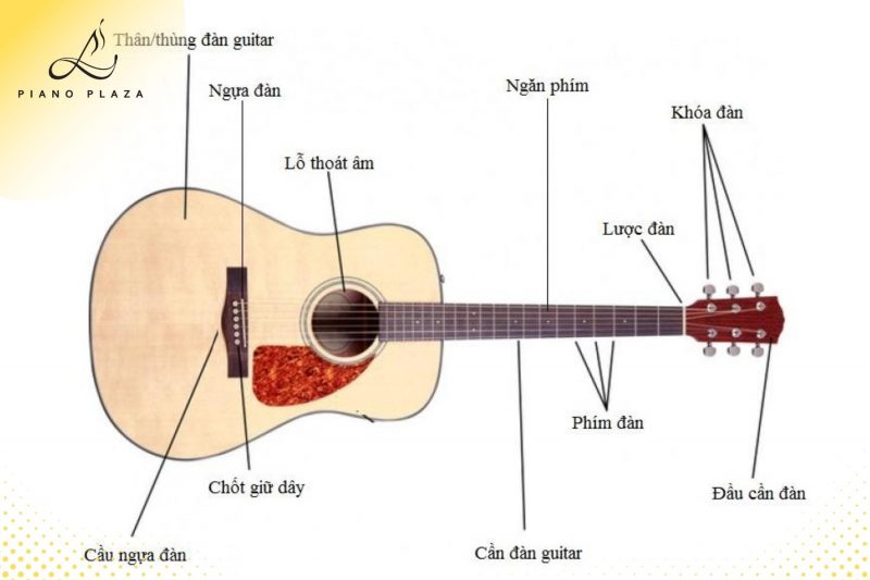 Học Guitar Cho Người Mới Bắt Đầu Ở TPHCM